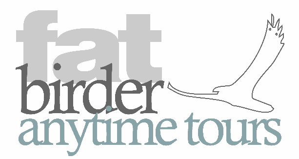Anytime tours Anytime tours